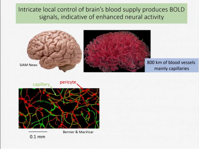 Embedded thumbnail for The Energetic Brain